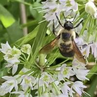 View photo in a new window