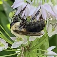 View photo in a new window