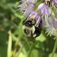 View photo in a new window