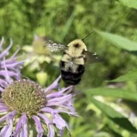 View photo in a new window