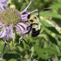 View photo in a new window