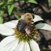 View photo in a new window