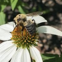 View photo in a new window