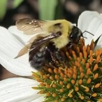 View photo in a new window