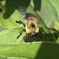 View photo in a new window