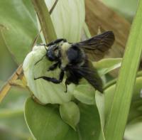 View photo in a new window