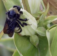 View photo in a new window