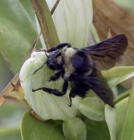 View photo in a new window