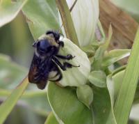 View photo in a new window