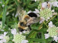 View photo in a new window