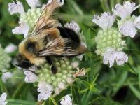 View photo in a new window