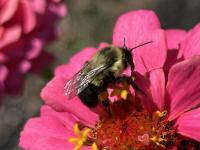 View photo in a new window