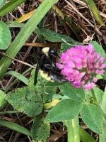 View photo in a new window