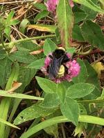 View photo in a new window