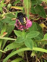 View photo in a new window