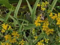 View photo in a new window