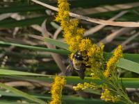 View photo in a new window