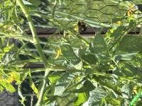 View photo in a new window