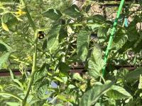 View photo in a new window