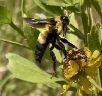 View photo in a new window