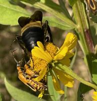 View photo in a new window