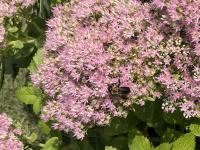 View photo in a new window