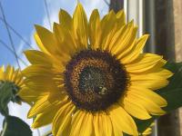 View photo in a new window