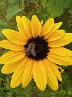 View photo in a new window