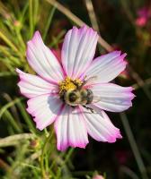 View photo in a new window