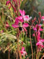 View photo in a new window