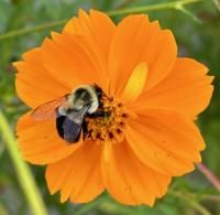 View photo in a new window