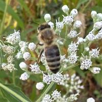 View photo in a new window