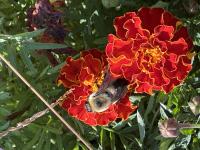 View photo in a new window