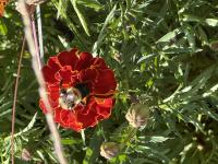 View photo in a new window