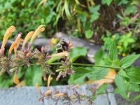 View photo in a new window