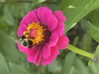 View photo in a new window