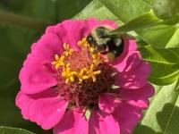 View photo in a new window