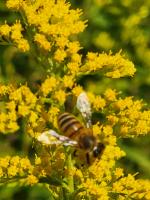 View photo in a new window