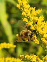 View photo in a new window