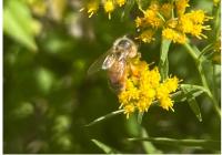 View photo in a new window