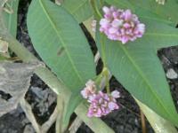 View photo in a new window