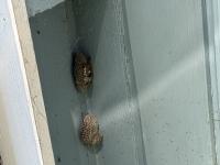 View photo in a new window