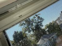 View photo in a new window