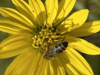 View photo in a new window