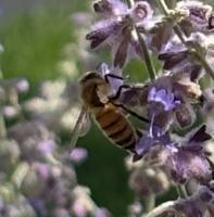 View photo in a new window