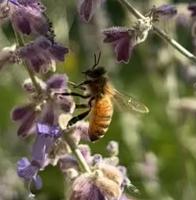 View photo in a new window