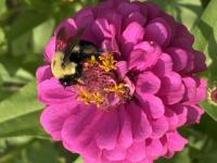 View photo in a new window