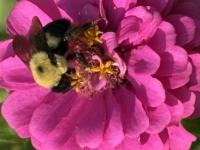 View photo in a new window