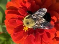 View photo in a new window