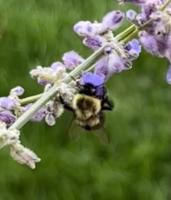 View photo in a new window